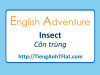English Adventure - INSECT