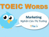 TOEIC WORDS - Marketing