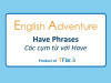 English Adventure - "HAVE" PHRASES