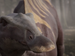 BBC Planet Dinosaur - Season 1 (Tập 1)
