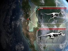 BBC Planet Dinosaur - Season 1 (Tập 3)