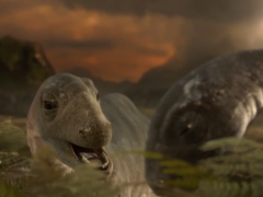 BBC Planet Dinosaur - Season 1 (Tập 5)