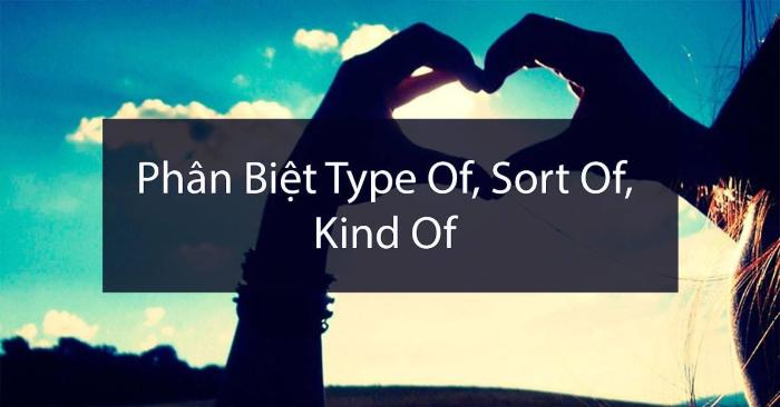Phân biệt cách sử dụng kind of, type of và sort of trong tiếng anh