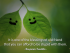It is one of the blessings of old friend that you can afford to be stupid with them.